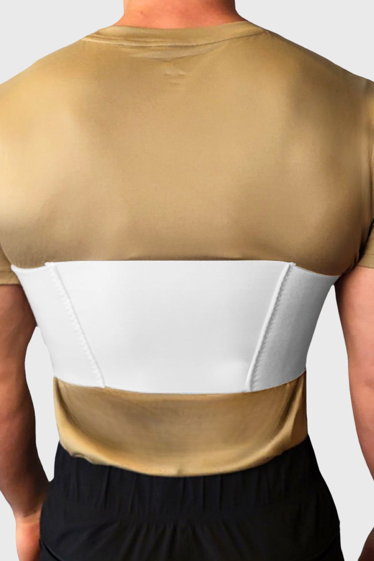 6" Universal Rib Belt (#355)